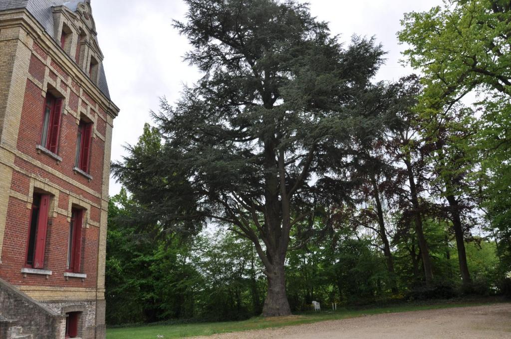 Chateau De La Croix Bizet Gasthof 3*