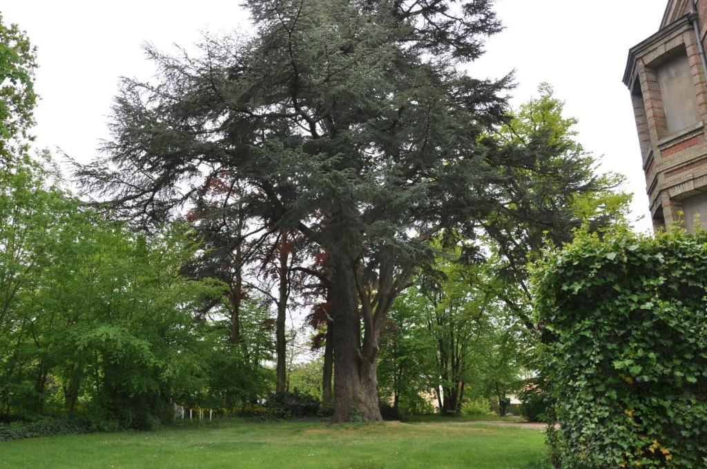 Chateau De La Croix Bizet Gasthof 3*